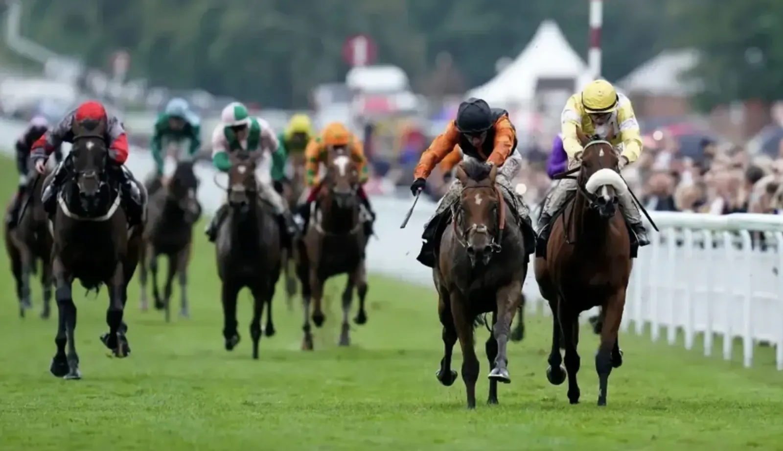 Dynamic horse race with jockeys in colorful silks galloping on green track beside white rails at prestigious event.
