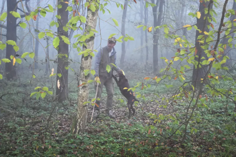 Man in tweed hat and coat holds leashed brown dog in misty birch forest.