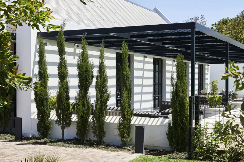 Modern white Stellenbosch estate facade with black metal pergola, tall cypress trees, patio furniture, and lush garden.