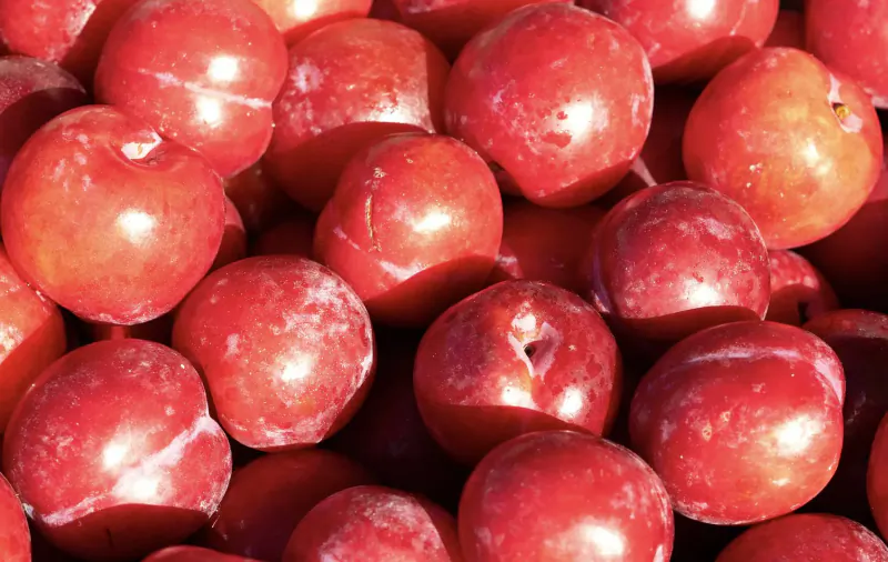 Close-up of a vibrant pile of ripe red plums with glossy surfaces.