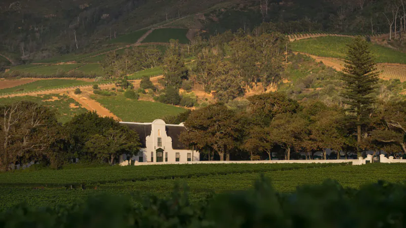 White historic manor house at Groot Constantia winery amid lush vineyards and rolling hills under golden light.