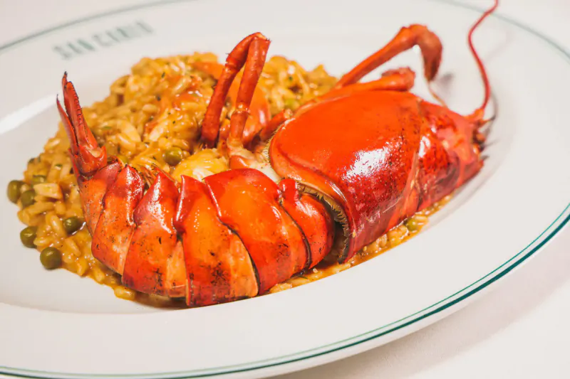Red lobster served over saffron paella rice with peas on white plate