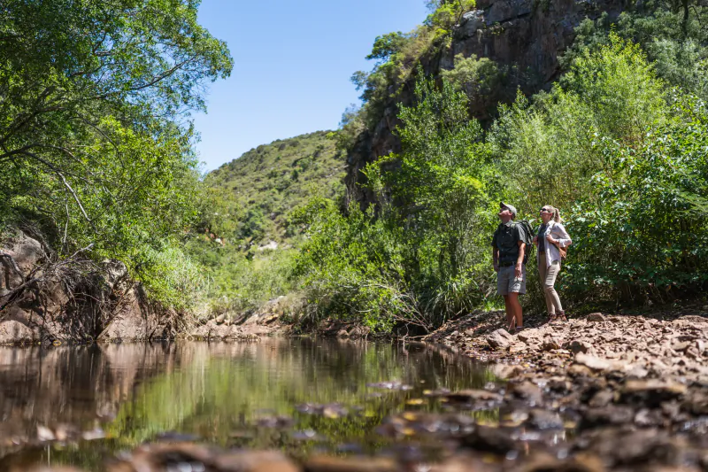Two hikers, man in hat and woman, stand by serene river in lush green Addo valley with cliffs and clear blue sky.