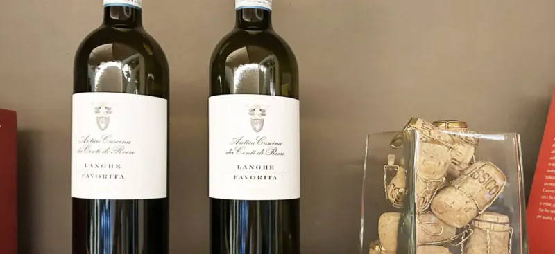 Two bottles of 'Azienda Agricola del Salice' wine beside glass jar of corks on shelf