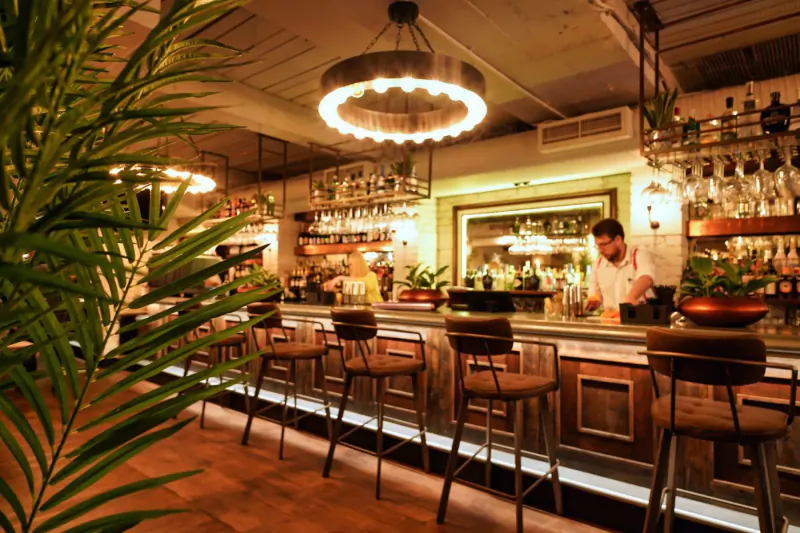 Bartender mixing drinks at stylish wooden bar with shelves of bottles, pendant light, and potted plants