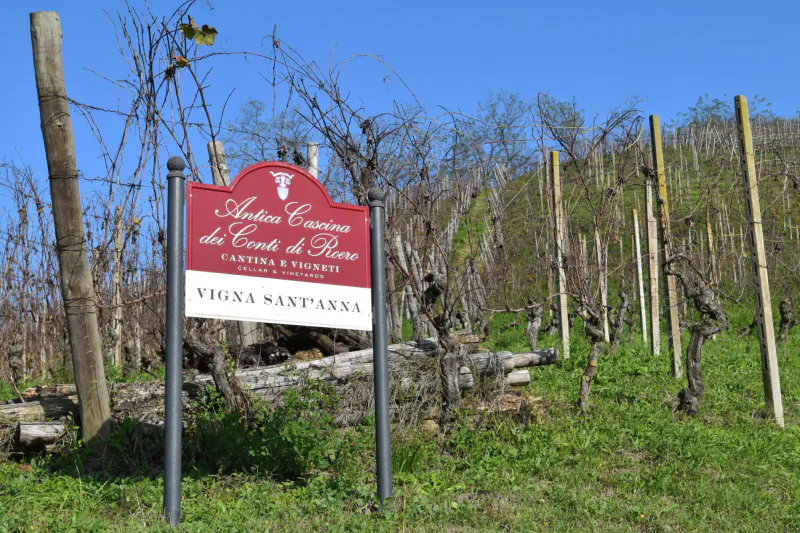 Red sign reading 'Autoctono Cantina del Grillo Vigna Lastovizza' amid vineyard with bare vines on poles under blue sky