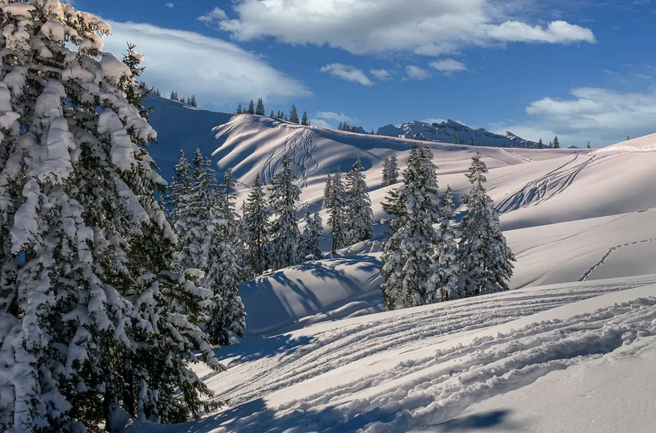 Snowy mountain landscape with evergreen trees under partly cloudy blue skies