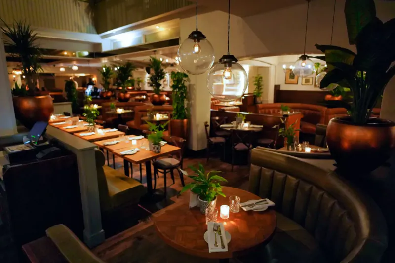 Elegant indoor restaurant with wooden tables set for dining, pendant lights, potted plants, and booth seating