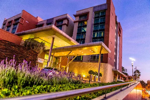 Twilight view of Southern Sun Rosebank hotel entrance with yellow canopy, lavender plants, and palm trees
