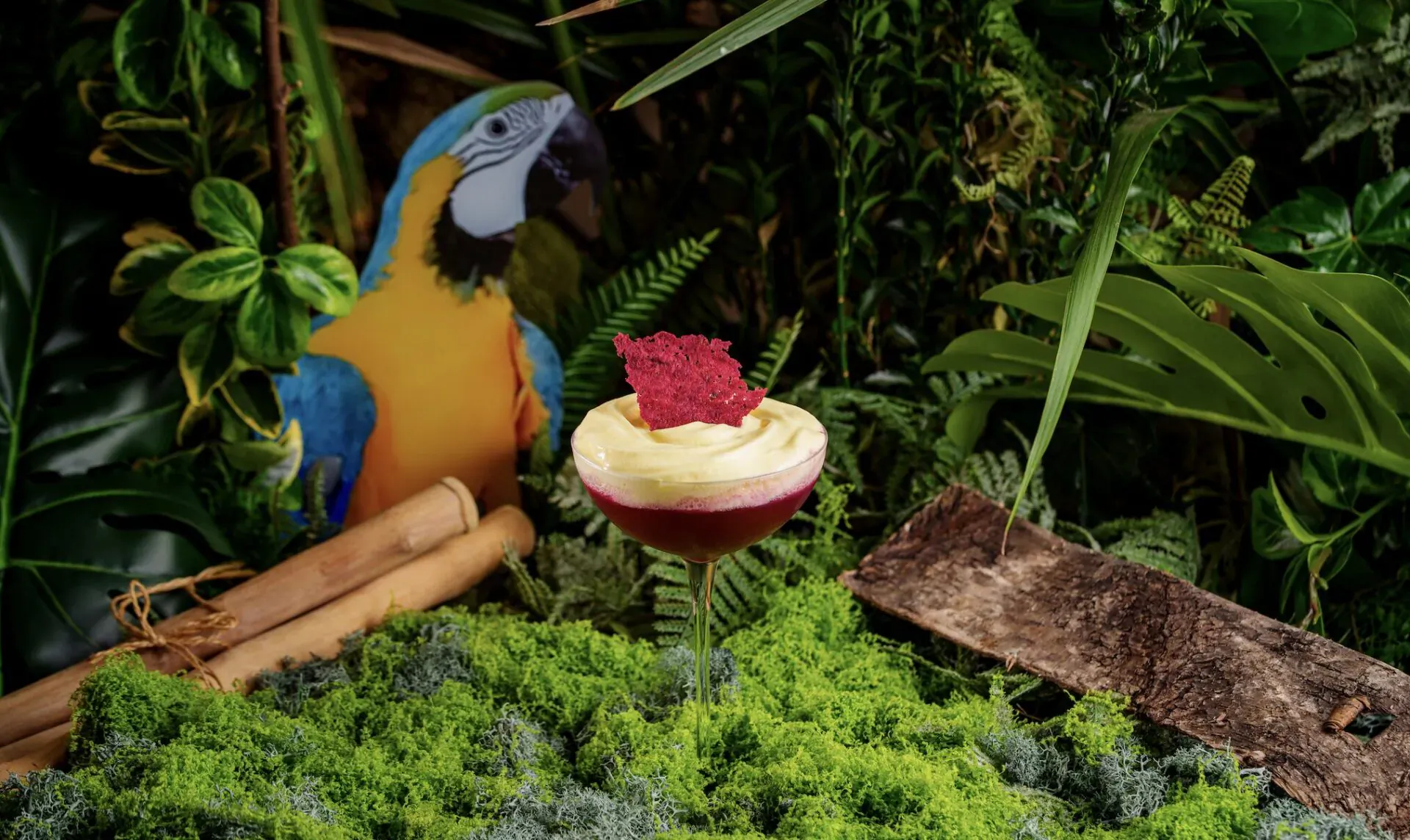 Blue-and-yellow macaw beside layered yellow and red cocktail glass in lush jungle setting with moss, ferns, bamboo, and wood.