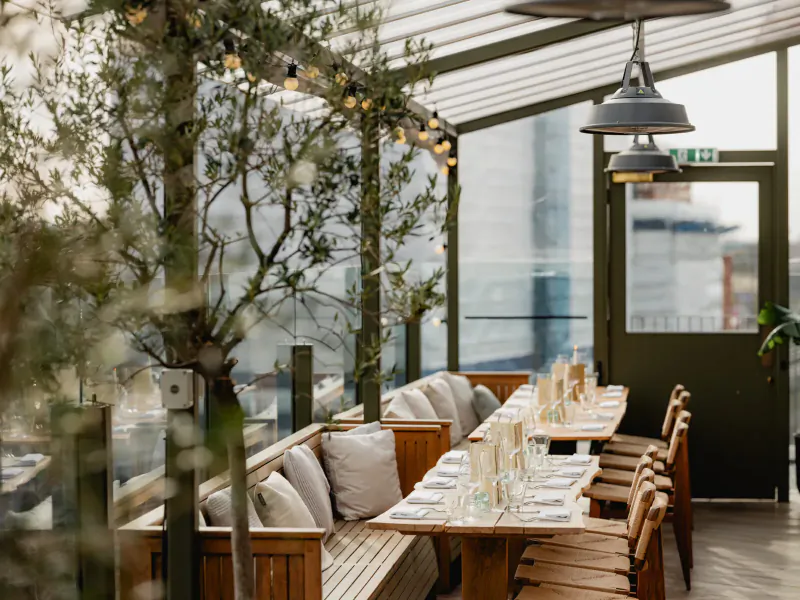 Sophisticated greenhouse dining area at The Broadcaster with wooden benches, tables set with glassware, olive trees, string lights, and panoramic city views.