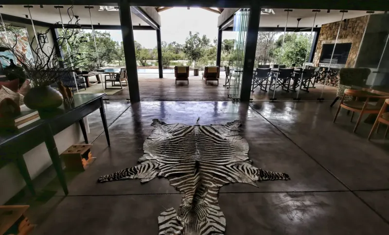 Spacious open-plan lounge at Monwana Game Lodge with zebra skin rug on polished floor, wooden furniture, and garden views.