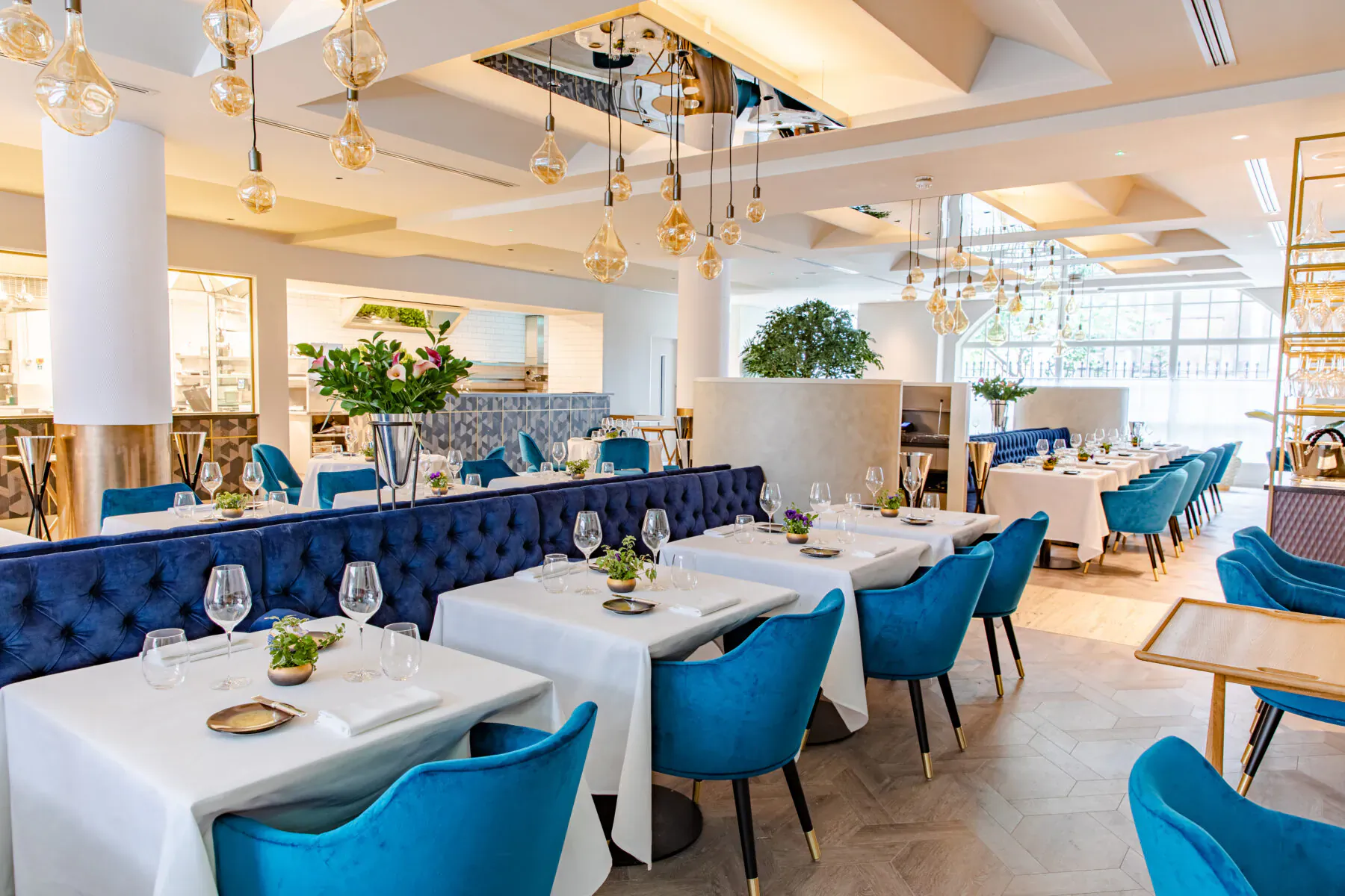 Elegant CORD by Le Cordon Bleu dining room with blue velvet booths, white tables, pendant lights, plants.