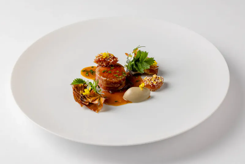 Elegant plated dish with stacked meat, sauce, herb garnishes, crisps, and mousse on white plate