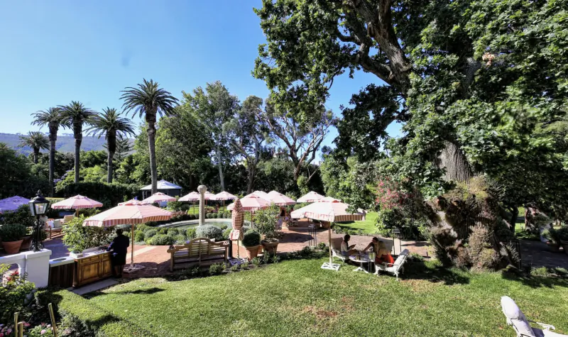 Afternoon tea setup with pink umbrellas among roses, palms, and oaks at Mount Nelson, Cape Town
