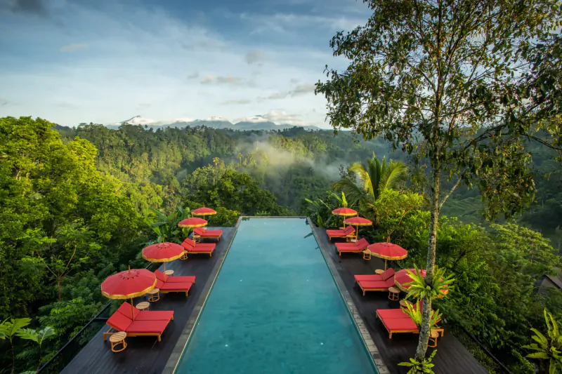 Infinity pool with red umbrellas and loungers overlooking misty Bali jungle valley at Buahan resort