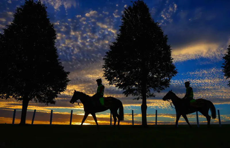 Silhouettes of two riders on horses walking past trees and fence at sunset in Tattersalls ring.