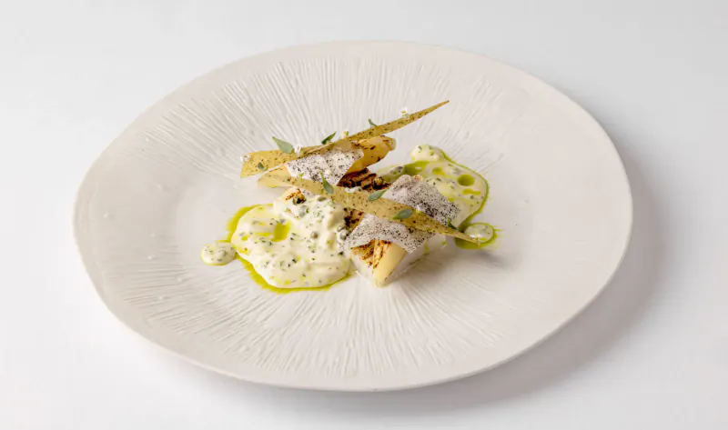 White plate with seared white fish, green herb sauce, garnished with microgreens and herbs